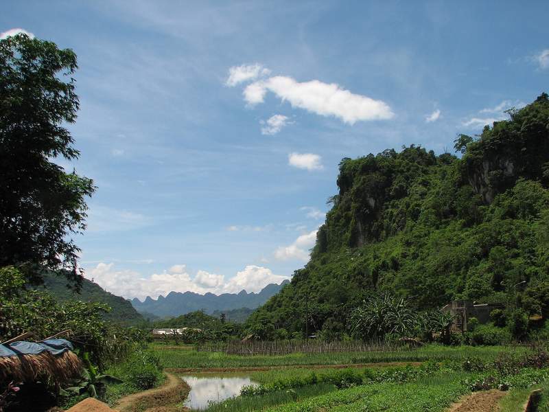 Ruộng và rừng dưới chân núi đá vôi